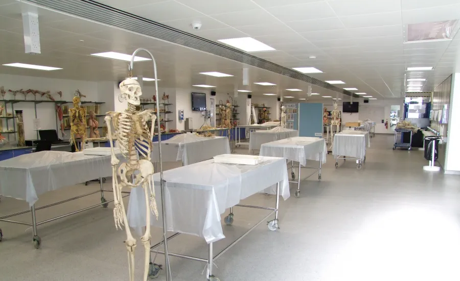 View of tables and equipment inside the Centre for Learning Anatomical Sciences.