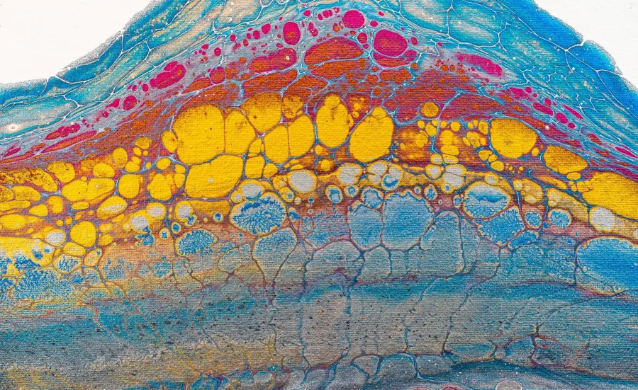 Layers of stained cells