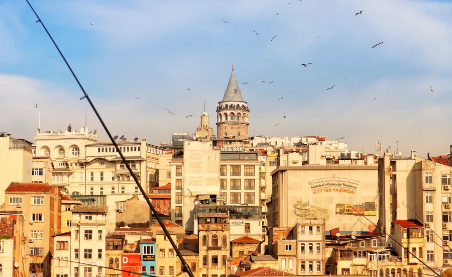 Istanbul skyline, including the famous Galata Tower, with birds soaring above